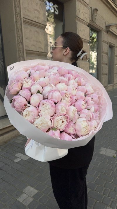 Півонія Gardenia